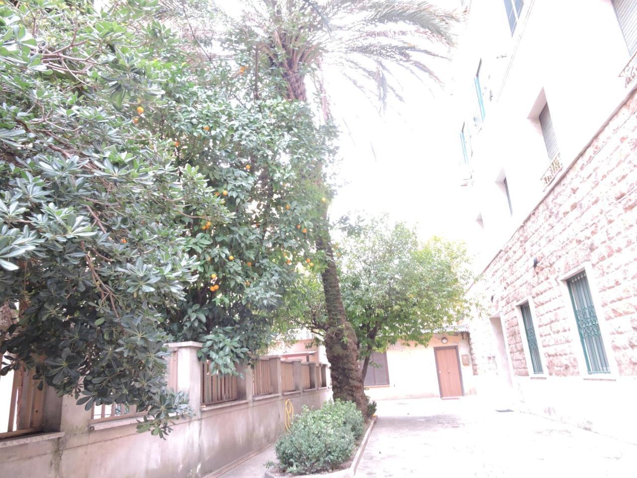 Domus Angelica Διαμέρισμα Ρώμη Εξωτερικό φωτογραφία